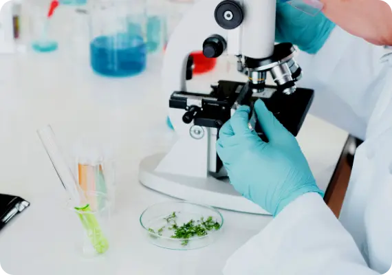 WHY Third Party Auditing-Monitoring in Clinical Research?