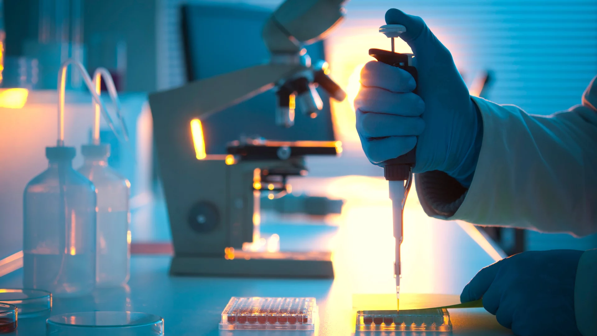 Bridging GCP and GLP in the Bioanalytical Phase: Ensuring Seamless Compliance for Sponsors